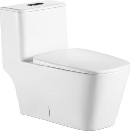 Lordear One Piece Toilet - Dual Flush Elongated Toilet with Comfort Seat Height